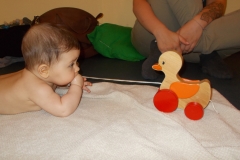 fynn4