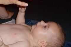maximilian1