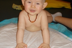 theo6