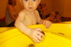 theodor5