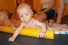 theodor7